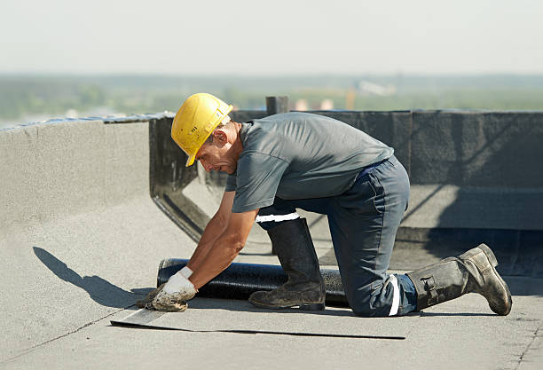 Best Commercial Insulation Contractor  in Dentsville, SC