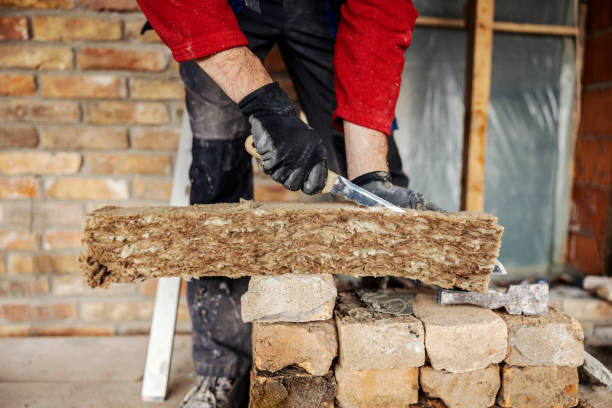 Best Professional Insulation Contractor  in Dentsville, SC
