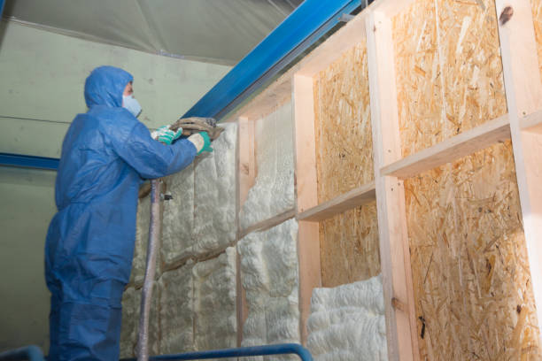 Best Spray Foam Insulation  in Dentsville, SC